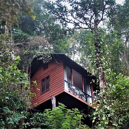 Tree6 Wayanad Villa Vithiri Kültér fotó