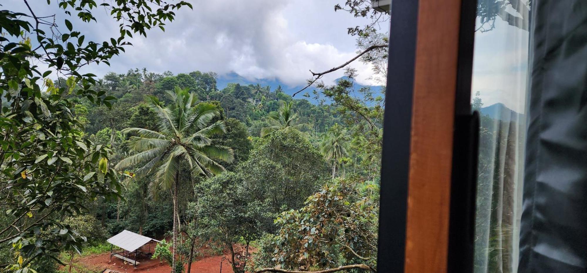 Tree6 Wayanad Villa Vithiri Kültér fotó
