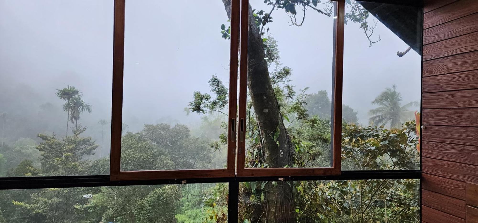 Tree6 Wayanad Villa Vithiri Kültér fotó