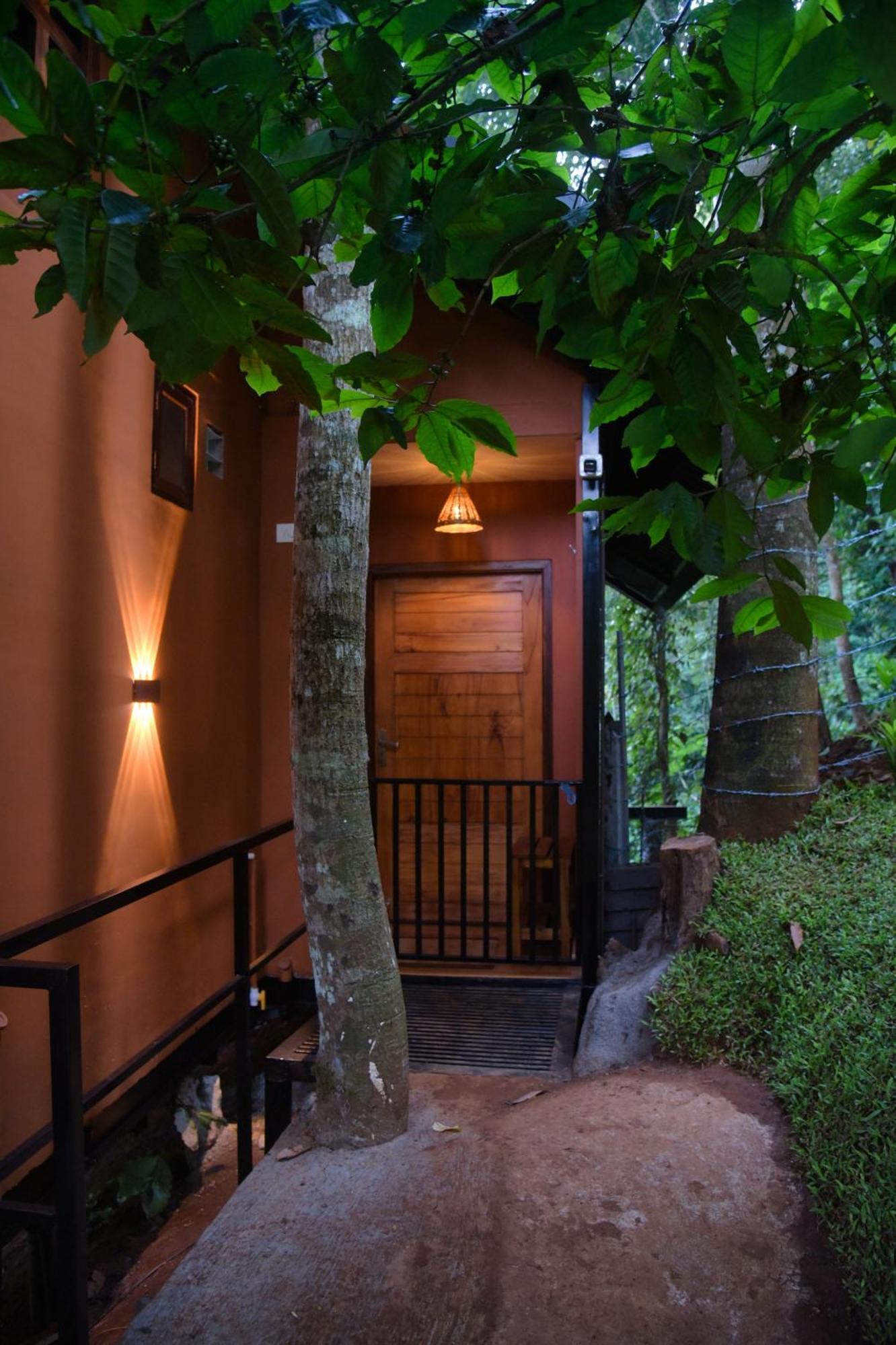 Tree6 Wayanad Villa Vithiri Kültér fotó