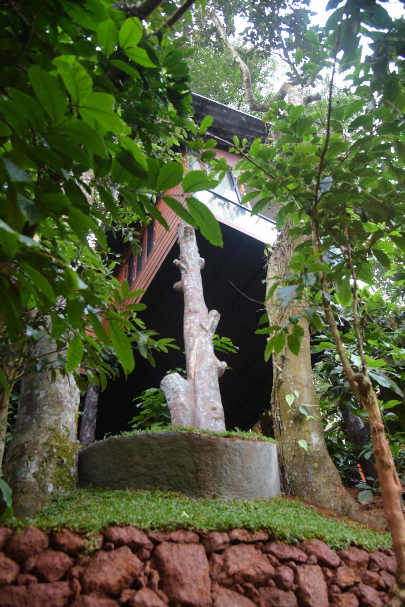 Tree6 Wayanad Villa Vithiri Kültér fotó