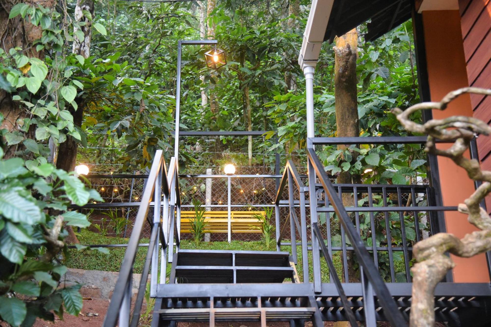 Tree6 Wayanad Villa Vithiri Kültér fotó