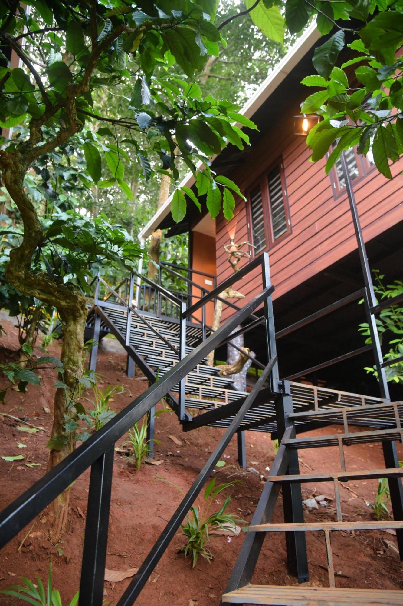 Tree6 Wayanad Villa Vithiri Kültér fotó
